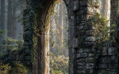 We Are Not Of The Night