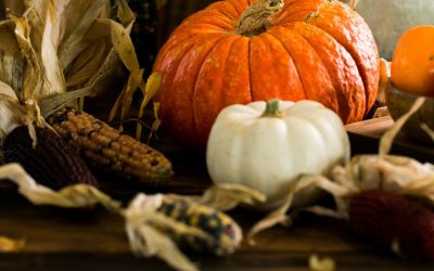 Happy Thanksgiving, From Day to Day