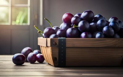 The Tender Grapes & The Little Foxes, Song of Solomon 2:15